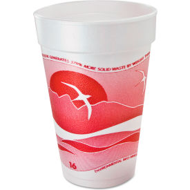 Dart® Horizon® Hot/Cold Foam Drink Cups 16 oz Printed Cranberry/White Pack of 1000 16J16H