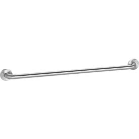 GoVets™ Straight Grab Bar Satin Stainless Steel - 36