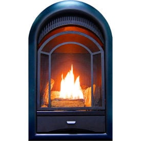 ProCom Dual Fuel Ventless Gas Fireplace Insert Arched Door 15000 BTU T-Stat Control PCS150T