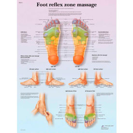 3B® Anatomical Chart - Foot Massage Reflex Zone Paper 12-4604P