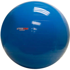 PhysioGymnic™ Molded Vinyl Inflatable Exercise Ball 85 cm (34