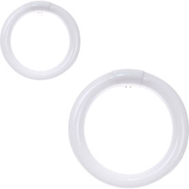 Sunlite® T9 Circline Fluorescent Bulb G10q Base 22W 1050 Lumens 6500K Daylight Pack of 2 41937-NS