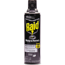 Raid® Wasp and Hornet Killer 14 oz. Aerosol Can 377651EA