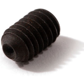 RPB Safety Locking Screw 4000-10
