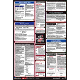 Labor Law Poster - New York - Spanish PPG400NY
