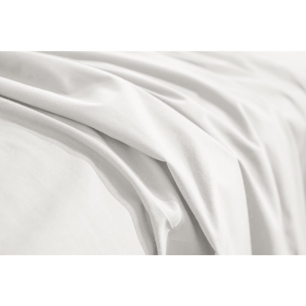 Example of GoVets 23 Threads brand