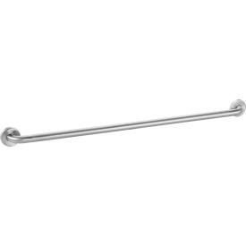 GoVets™ Straight Grab Bar Peened Stainless Steel - 42