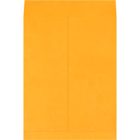GoVets™ Jumbo Envelopes 15