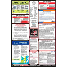 Labor Law Poster - Texas PPG300TX