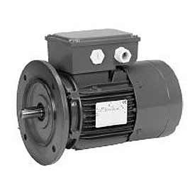 US Motors Brake 0.33 HP 3-Phase 1740 RPM Motor BR13S2AC3 BR13S2AC3