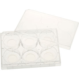 CELLTREAT® 6 Well Tissue Culture Plate with Lid 20mm Glass Bottom Individual Sterile 5/PK 229107