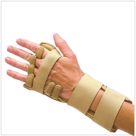 Example of GoVets 3 Point Products category