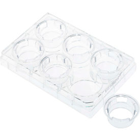 CELLTREAT® Permeable Cell Culture Inserts Packed in 6 Well Plate Hanging PC 8.0m Sterile 230605