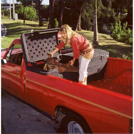 Nevr-Rust™ Tool-Tainer II Plastic Truck Box 60-1/2