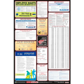 Labor Law Poster - Arizona - Spanish PPG400AZ
