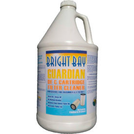 Bright Bay Guardian DE & Cartridge Filter Cleaner Gallon Bottle 1/Case - P2128 P2128