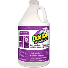 OdoBan® Concentrate Odor Eliminator And Disinfectant Lavender Scent 1 Gal Bottle 4/Carton 911162G4