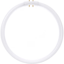 Sunlite® 05810-SU FC22T5/SP841 22W Fluorescent T5 Circline Bulb 2GX13 Cool White 05810-SU - Pkg Qty 12
