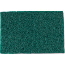 AmerCareRoyal® Medium-Duty Scouring Pad Green 60 Pads/Case S960