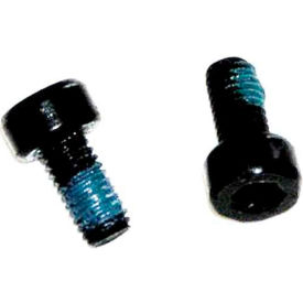 3M™ 30913 Polisher Screw M5 x 10 2 Pkg Qty 7010308676