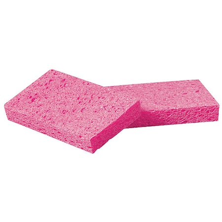 Sponge, 6-1/2