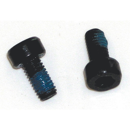 28391 Polisher Screw M5 x 10 30913, 2 per bag 1 bag/pk MPN:30913