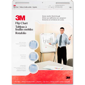 3M Prof Flip Chart Pad 570 25
