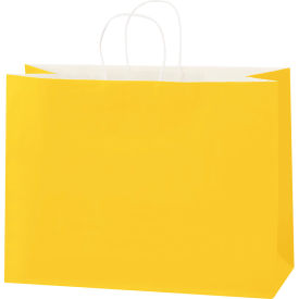 GoVets™ Tinted Shopping Bags 16