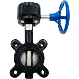Legend Valve® T-367DI-G Butterfly Valve with BUNA Seals & Gear Operator 10