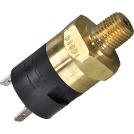 Pressure Switch For Groen 096963 096963 (PRESET)