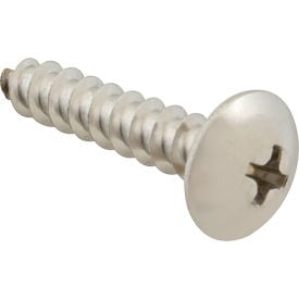 Allpoints 6121020 Screw Sm/Th/Ss (100) 6121020
