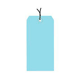 GoVets™ Shipping Tag Pre Strung #6 5-1/4