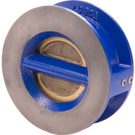 Legend Valve® T-312 Ductile Iron Check Valve with EPDM Seats Aluminum Bronze Disc 5