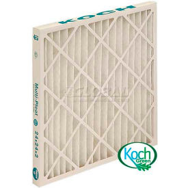Koch Filter™ Green Pleated Filter 20 X 25 X 1