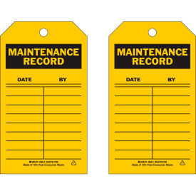 Brady® 86614 Maintenance Record Tag 2 Sided 10/Pkg Polyester 4