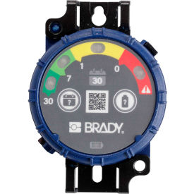 Brady® 150741 Brady Inspection Timer 30 Day 10 Pack LED Lights ABS Plastic Blue 150741