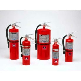 Fire Extinguisher 10 Lbs Multi-Purpose Dry Chemical Cosmic 10E FE10