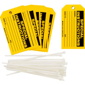 Brady® Special Instructions Tag 25/Pkg Polyester 5-3/4