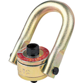 Example of GoVets Hoist Rings category