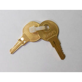 DOGIPOT® Replacement Keys For DOGVALETS® & CH545 Junior Dispenser Pack of 2 1102