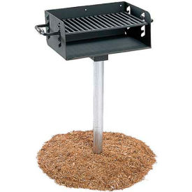 ADA Rotating Pedestal Outdoor Grill With 3-1/2