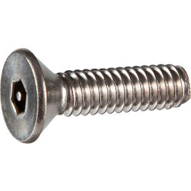 M6 x 1.0 x 20mm Tamper-Proof Security Cap Screw - Flat Socket Head - 18-8 Stainless Steel - 50 Pk 6.M620FS