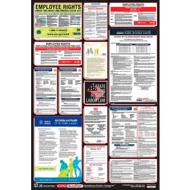 Labor Law Poster - Florida PPG300FL