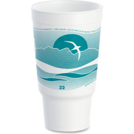 Dart® Horizon Hot/Cold Foam Drinking Cups 32 oz. Capacity White/Teal 16/Bag 25 Bags/Carton 32AJ20H