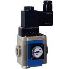 Bimba-Mead Soft Start Valve MGV400-15-T-24VDC 1/2