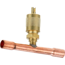 Allpoints 561582 Access Valve 561582