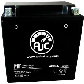 AJC Battery Polaris Sportsman 700 ATV Battery (2002-2010) 30 Amps 12V B Terminals AJC-PS-AIX30L-513982