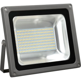 GoVets™ LED Flood Light 100W 10000 Lumens 5000K w/Mounting Bracket 900500