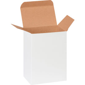GoVets Reverse Tuck Folding Cartons 4
