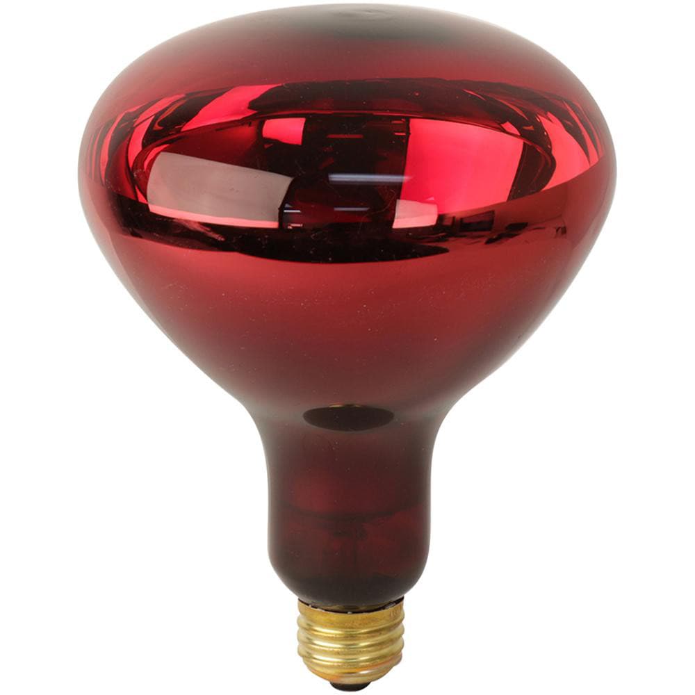 Incandescent Lamp:  250W,  Medium Screw Base,  BR40 Lamp MPN:250R40/10/24 - Pkg Qty 24
